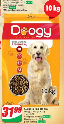 Dino Sucha karma dla psa Doogy 10 kg oferta