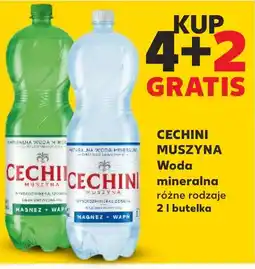 Kaufland CECHINI MUSZYNA Woda mineralna 2 l oferta