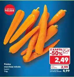 Kaufland Polska marchew młoda 1 kg oferta