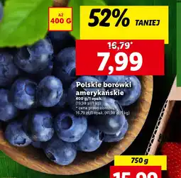 Lidl Polskie borówki amerykańskie 400 g oferta