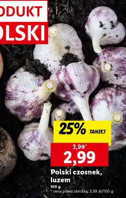 Lidl Polski czosnek, luzem 100 g oferta