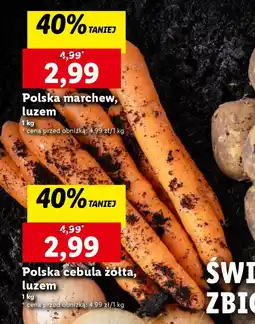 Lidl Polska marchew, luzem 1 kg oferta