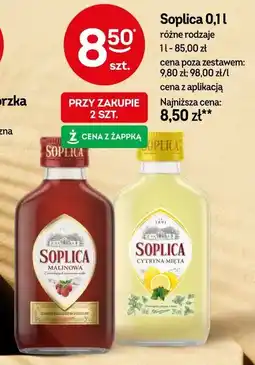 Soplica