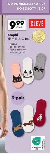 Biedronka Stopki damskie 35-38 Cleve oferta