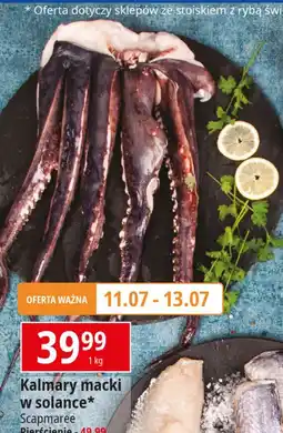 E.Leclerc Kalmary macki w solance Scapmaree oferta