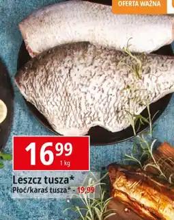 E.Leclerc Leszcz tusza oferta
