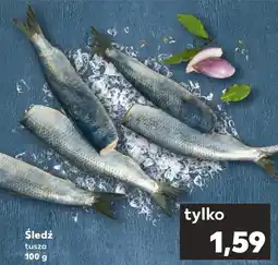 Kaufland Śledź oferta
