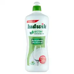 Topaz Ludwik Płyn do naczyń miętowy 900 g oferta