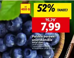 Lidl Borówki amerykańskie oferta