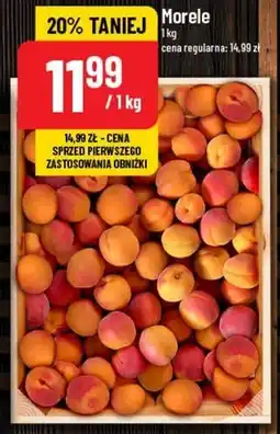 Polomarket Morele oferta