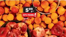 Netto Morela oferta