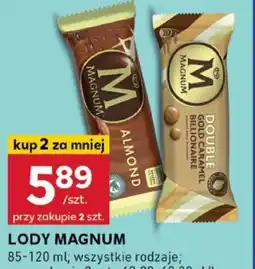 Lody Magnum 85-120 ml