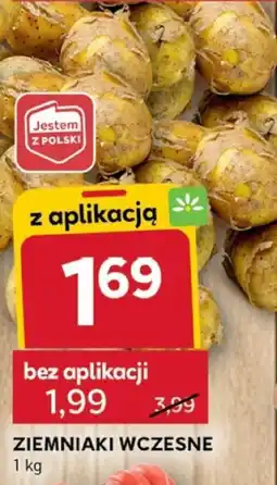 Stokrotka Optima Ziemniaki wczesne 1 kg oferta