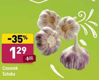 ALDI Czosnek Sztuka oferta