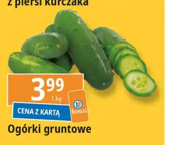 E.Leclerc Ogórek gruntowy oferta