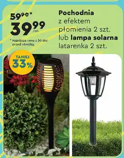 Biedronka Lampki solarne oferta