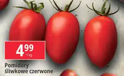 E.Leclerc Pomidory śliwkowe czerwone oferta