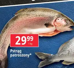 E.Leclerc Pstrąg patroszony oferta