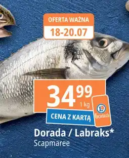 Labraks Scapmaree