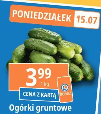 E.Leclerc Ogórek gruntowy oferta