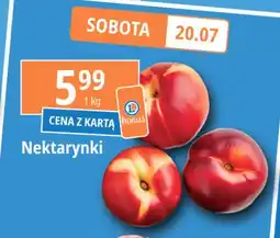 E.Leclerc Nektarynki oferta