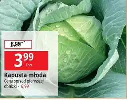 E.Leclerc Kapusta młoda oferta