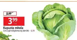 E.Leclerc Kapusta młoda oferta