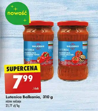Biedronka Lutenica paprykowa Balkania oferta