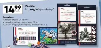 Biedronka Węgiel rysunkowy prasowany Loozz Art oferta