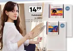Biedronka Podobrazia 30 x 20 cm Loozz Art oferta