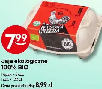Żabka Jaja ekologiczne 100% BIO 6 szt. oferta