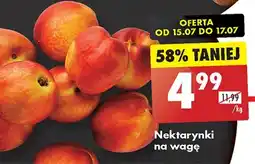 Biedronka Nektarynki oferta
