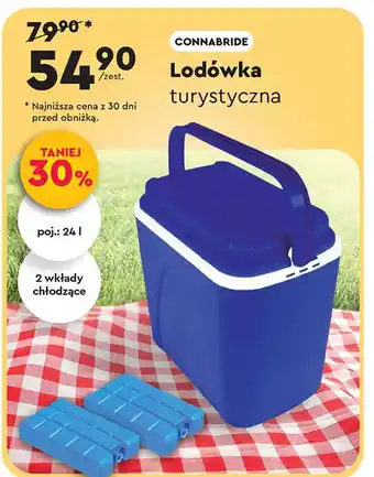 Biedronka Lodówka turystyczna 24l Connabride oferta