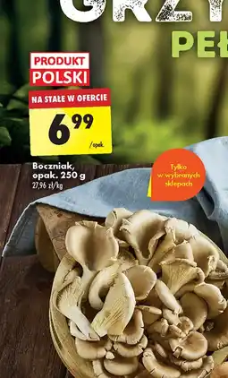Boczniak