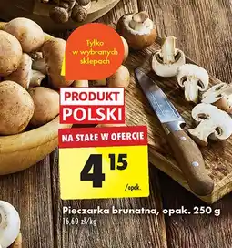 Biedronka Pieczarki brunatne oferta