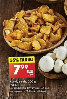 Biedronka Kurki oferta