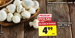 Biedronka Pieczarki mini oferta