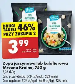 Biedronka Zupa jarzynowa Mroźna Kraina oferta