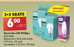 Żarówka kulka 60 w e14 Philips