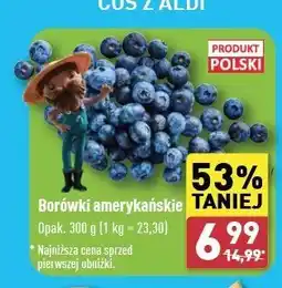 ALDI Borówki amerykańskie polska oferta