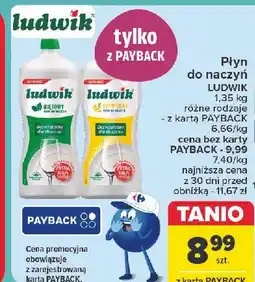 Carrefour Płyn do mycia naczyń miętowy Ludwik oferta