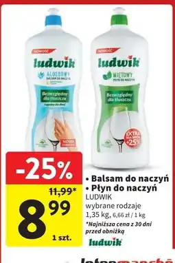 Intermarche Balsam do naczyń aloesowy Ludwik oferta