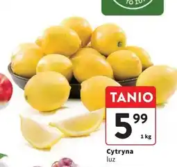 Intermarche Cytryny oferta