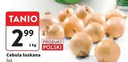 Intermarche Cebula żółta polska oferta