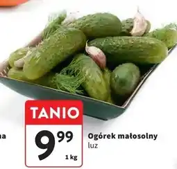 Intermarche Ogórek małosolny oferta