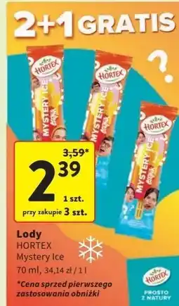 Intermarche Lód czajnik Hortex Mystery Ice oferta
