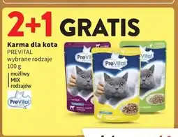 Intermarche Karma dla kota kurczak Prevital oferta