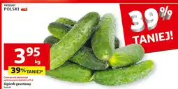 Auchan Ogórek gruntowy polska oferta