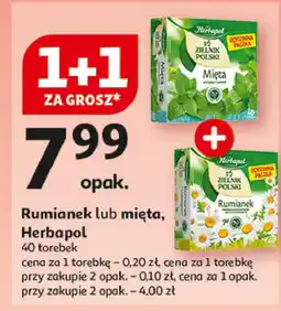 Auchan Herbatka mięta Herbapol Zielnik Polski oferta