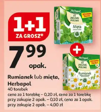 Auchan Herbatka mięta Herbapol Zielnik Polski oferta